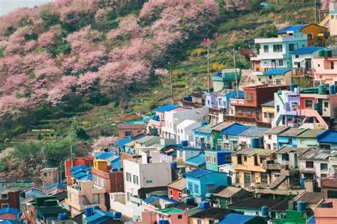 Busan Unveiled 8 Spectacular Things To Do In Busan South