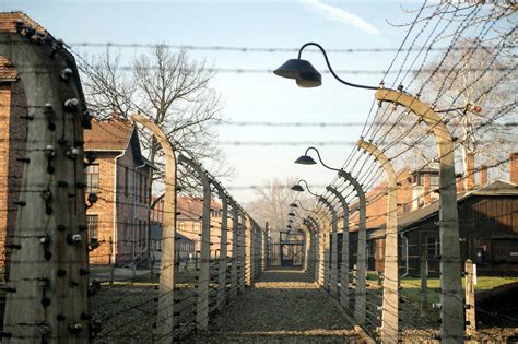 Opinion Auschwitz In Our Memory The New York Times