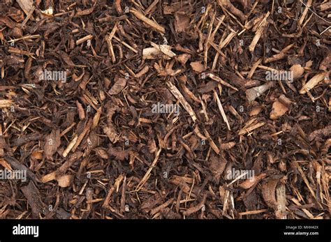 Bark Chippings Garden Hi Res Stock Photography And Images Alamy