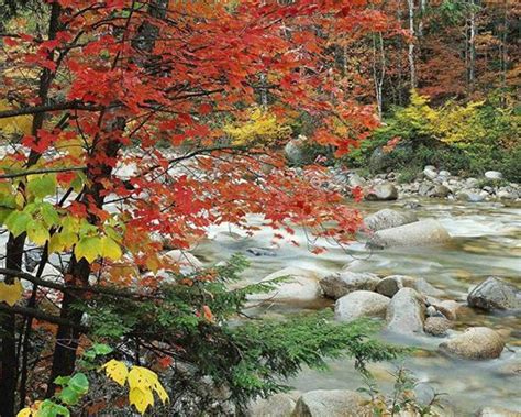 Life Is Beautiful Beautiful Places Gorgeous Leaf Wallpaper Desktop