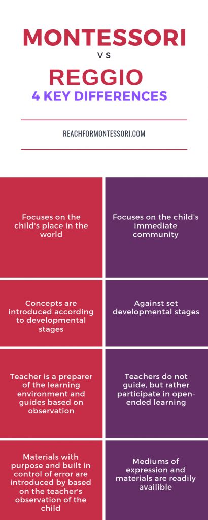 Montessori Vs Reggio Key Similarities And Differences — The Montessori