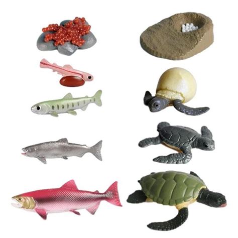 Seas Life Figurines 9pcsset Animal Life Cycle Figurines Of Sea Turtle