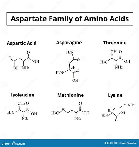 A Family Of Amino Acids Aspartate Chemical Molecular Formulas Of Amino Acids Aspartate