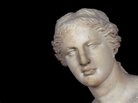 Purpura La Venus Del Milo Louvre Afrodita