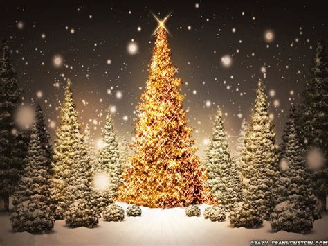 Christmas Trees Christmas Wallpaper 17756627 Fanpop