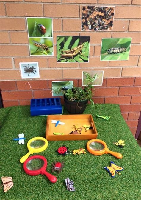 An Insect Theme Dramatic Play Area How To Make An Entomology Lab Artofit