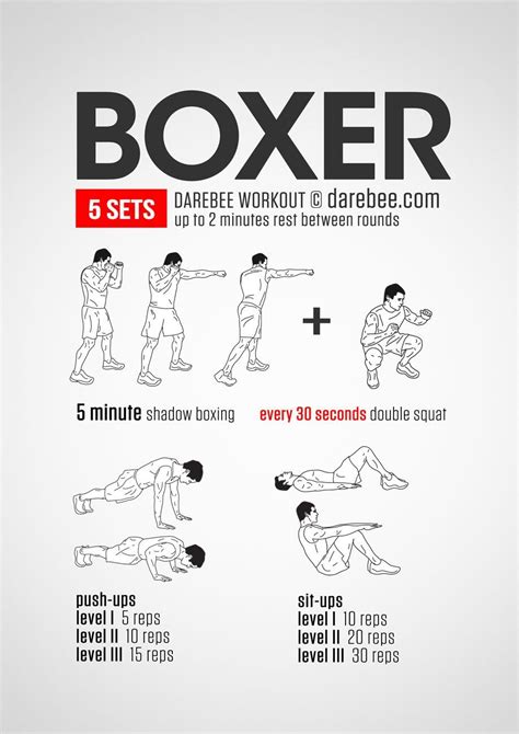 Boxing Workout No Weights In 2020 Boxer Workout Boxing Training