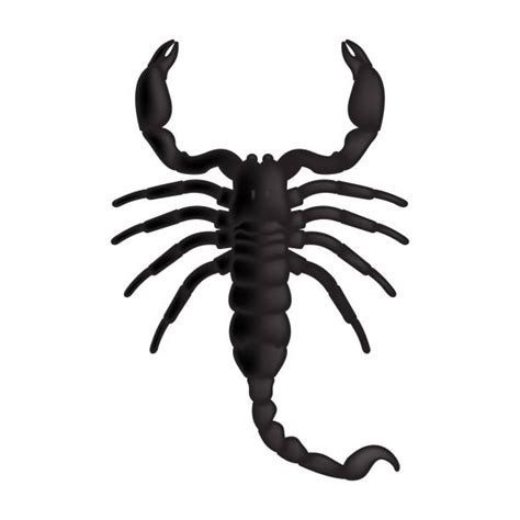 Scorpion Tail Illustrations Royalty Free Vector Graphics And Clip Art