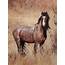 Red Roan Horse//red Stallion//blaze//Red With  Etsy