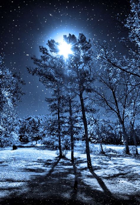One Snowy Night Beautiful Moon Beautiful Nature Winter Scenes
