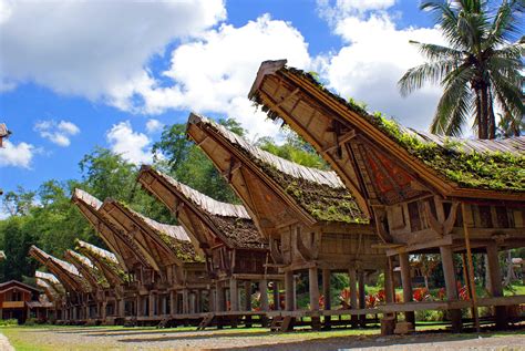 Exploring The Hidden Gems Of Southeast Sulawesi A Perfect Destination