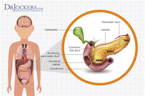 Natural remedies for healthy pancreas promoting pancreatic health naturally involves eating the foods listed, as well as not smoking, staying away from unhealthy foods, drinking plenty of water,. Pancreatitis: Symptoms, Causes and Natural Support Strategies