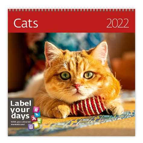 Cats 2022 Nástěnný Kalendář Knihcentrumcz
