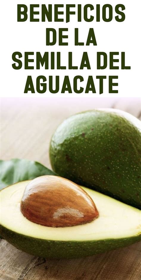 Beneficios De La Semilla Del Aguacate Healthy Recipes Food Avocado