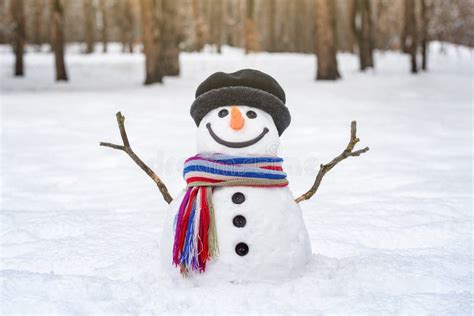 Snowman With Arms Outstretched From Branches Stock Image Image Of