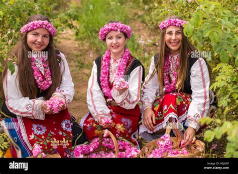 Bulgarian Girl Dressed In Traditional Dress Picking Roses And Having