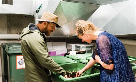 Grant To Establish Worm Farms Otago Daily Times Online News