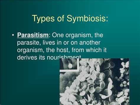 Primary human demodicosis is a skin disease sui generis not associated with local or systemic immunosuppression. PPT - How do species interact to generate stability in ...