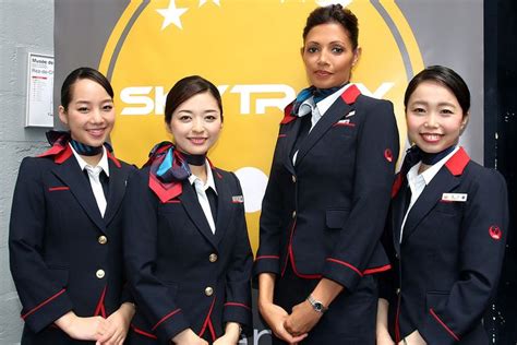Stewardesses Japan Airlines Flight Attendant Stewardess Cabin Crew