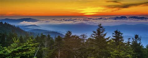 Instant booking on blue ridge mountains vacation rentals. Gatlinburg, Tennessee Cabin Rentals & Getaways - All Cabins
