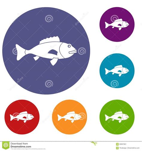 Fish Icons Set Stock Vector Illustration Of Collection 95957061