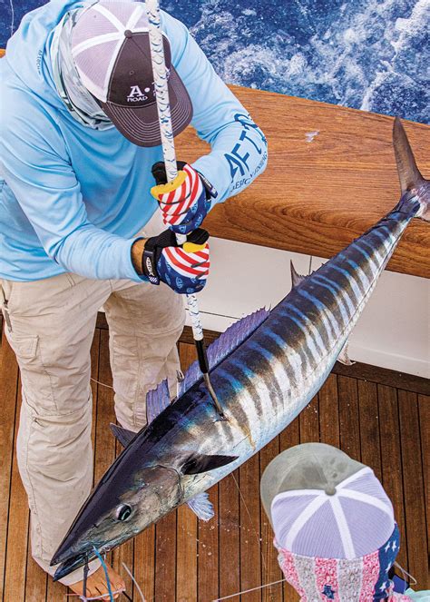Top Wahoo Trolling Rig - Everything Country