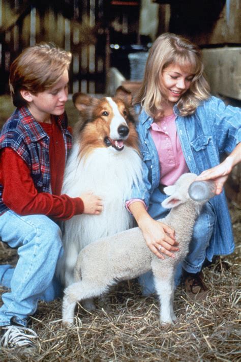 Lassie Official Clip Can We Keep Her Trailers And Videos Rotten Tomatoes