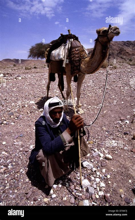 Bedouin Nomad Member Of The Zawaideh Tribe Native To The Deserts Of