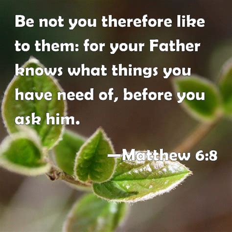 Matthew 68 Be Not You Therefore Like To Them For Your Father Knows What Things You Have Need