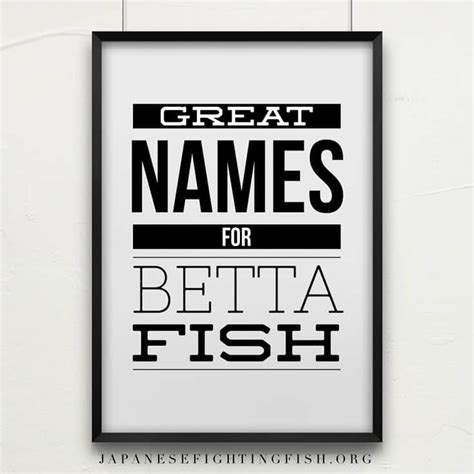 We did not find results for: Betta Fish Names | What should I call my betta fish?