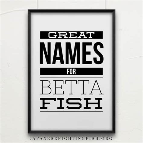 Here is a comprehensive guide to finding other fish that can live with bettas. Betta Fish Names | What should I call my betta fish?