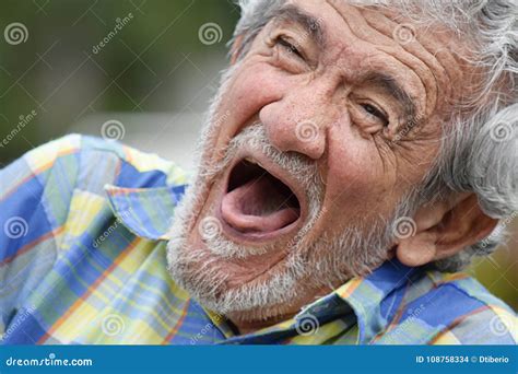 Bearded Old Male Laughing Stock Photo Image Of Smiling 108758334