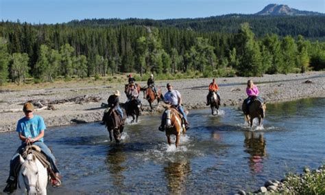 Yellowstone Horseback Riding Horse Trail Rides Alltrips