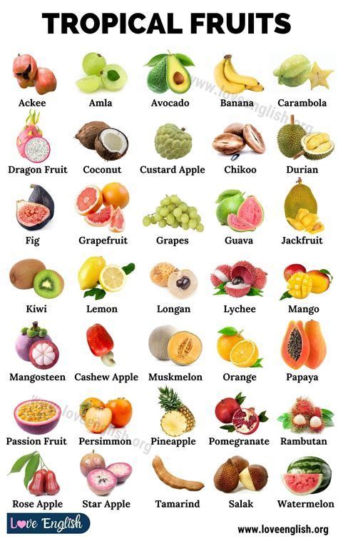 List Of Fruits List Of 40 Popular Fruit Names With Fruit List