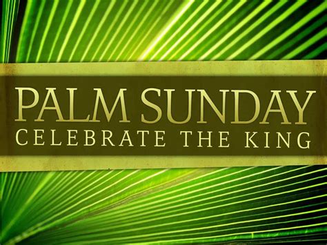 Palm Sunday 2017 Matthew 211 16