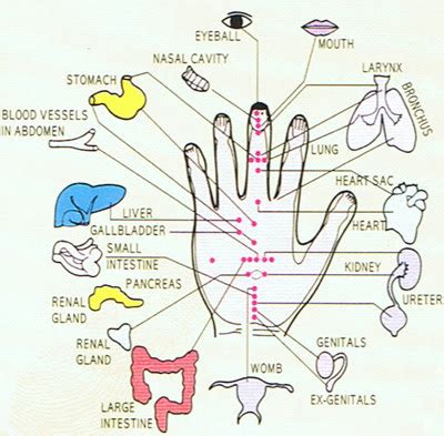 Acupuncture to the scalp is one of the safest and most effective methods that work both for men and women. Bald head hair regrowth