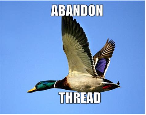 Abandon Actual Advice Mallard Know Your Meme