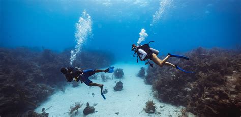 Belize Scuba Diving Tours Glovers Reef Atoll Blue Hole Diving
