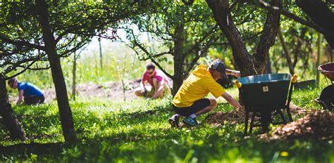 Explore other popular home services near you from over 7 million businesses with over 142 million reviews and opinions from yelpers. Fruit Tree Care | LifeCycles Project - Victoria, BC