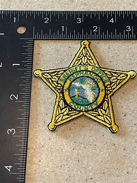 HERNANDO COUNTY SHERIFF STAR FL PATCH GOLD
