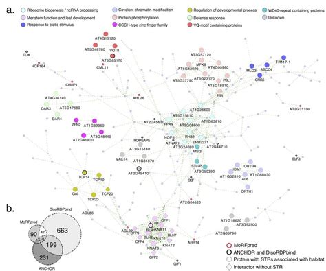 Human computer interaction (hci) is a subset of interaction design. Interaction network of proteins with coding STR length ...