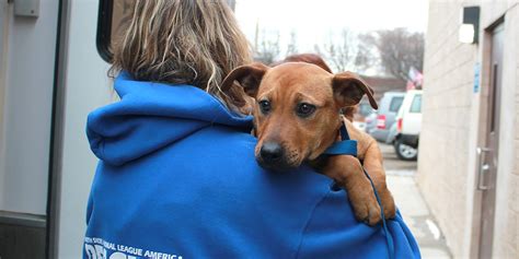 Humane Relocation Program National Animal Rescue Animal League