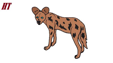 How To Draw African A Wild Dog Step By Step