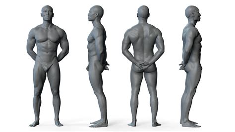 Male 02 Anatomy Reference Pose 07 Male 02 Anatomy Reference Pose 07