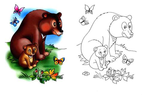 baby panda bears coloring pages