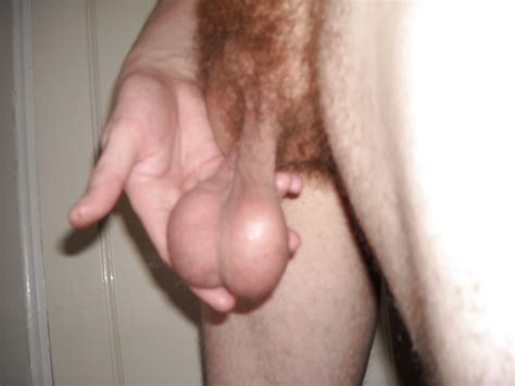 Men With Hairy Cock And Balls Porn Videos Newest Gay Guys Hairy Balls