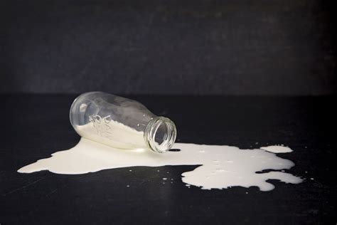 Don't cry over spilled milk. Crying over spilt milk: £150m worth of milk wasted in UK ...