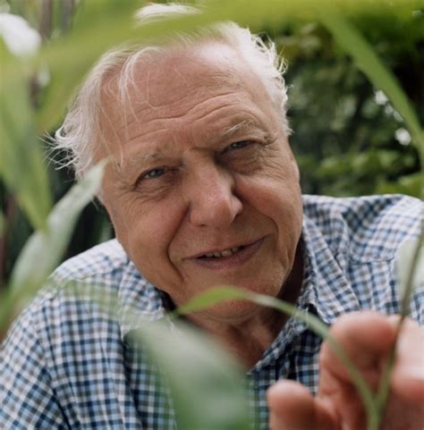 Make a difference for wildlife and for our environment! Sir David Attenborough's BBC 'beer war'