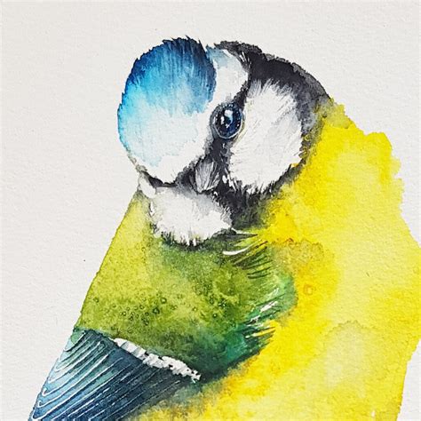 Blue Tit Birds Wildlife Watercolours Watercolour By Karolina Kijak
