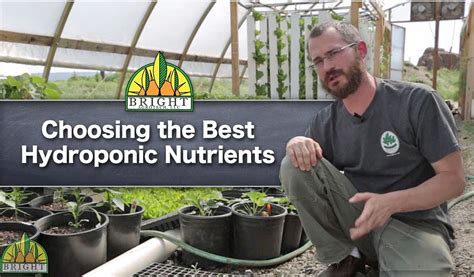 The Best Hydroponic Nutrients For Your System Youtube